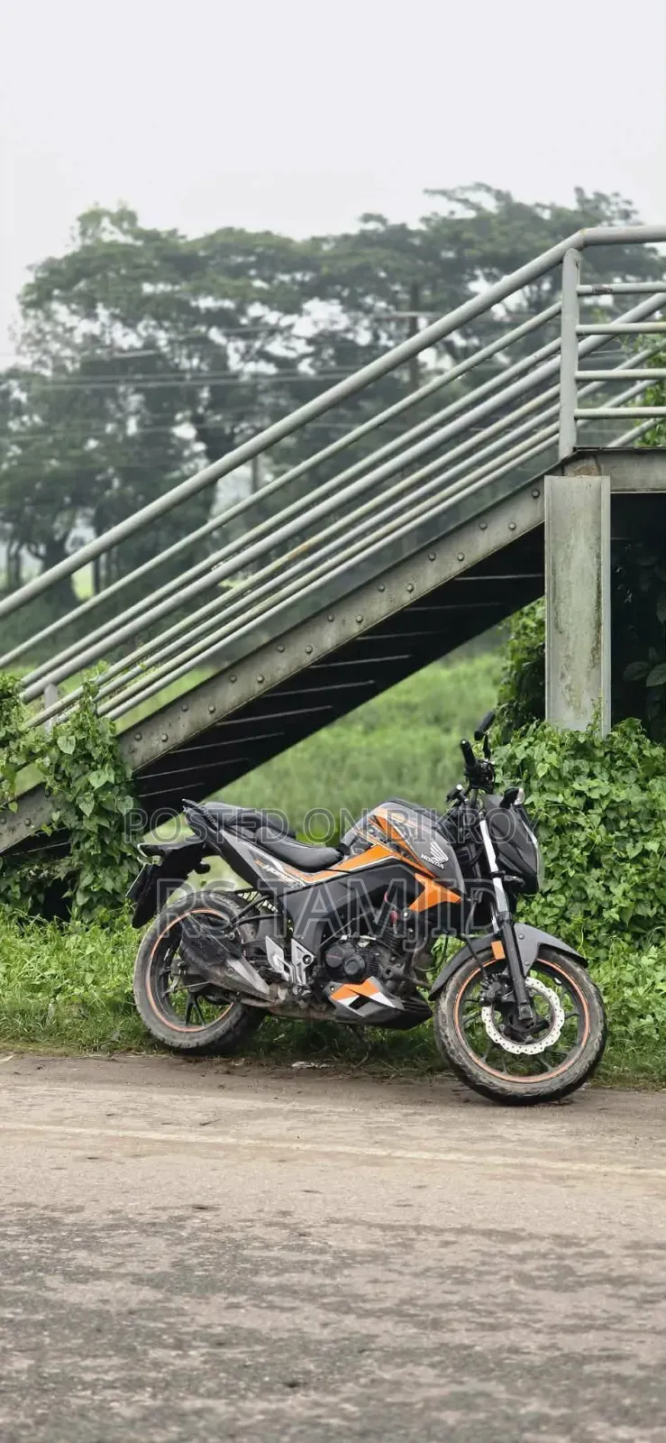 Honda Hornet 2019