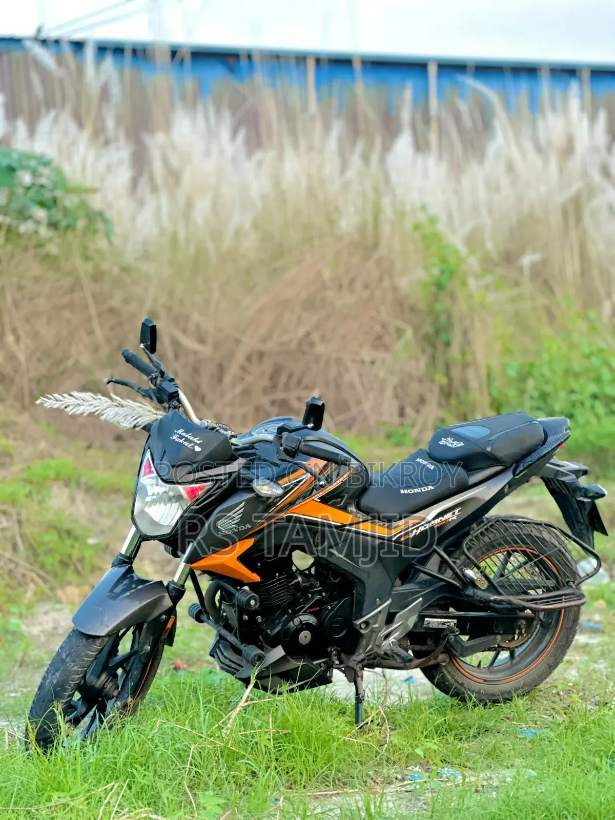 Honda Hornet 2019