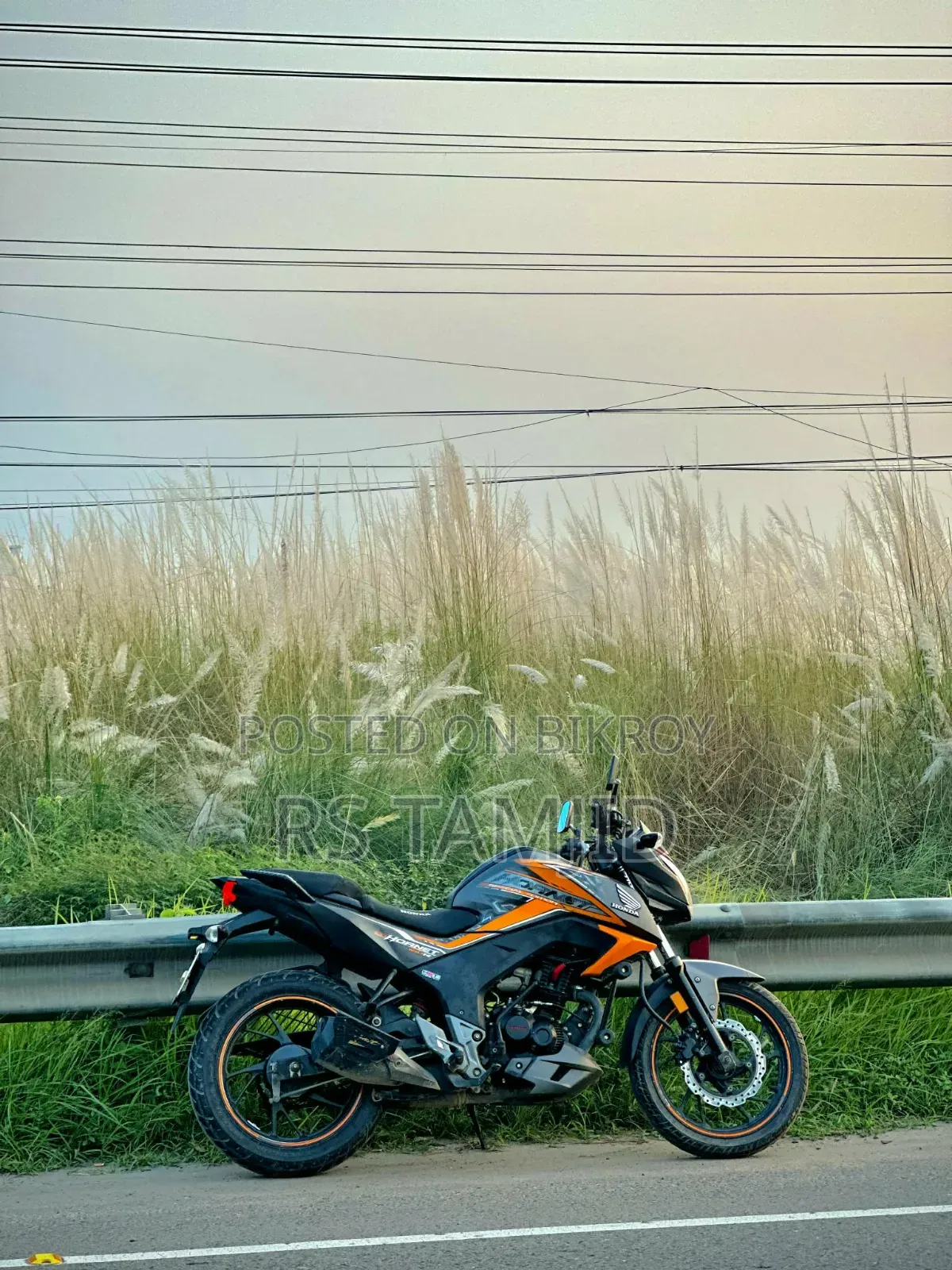 Honda Hornet 2019