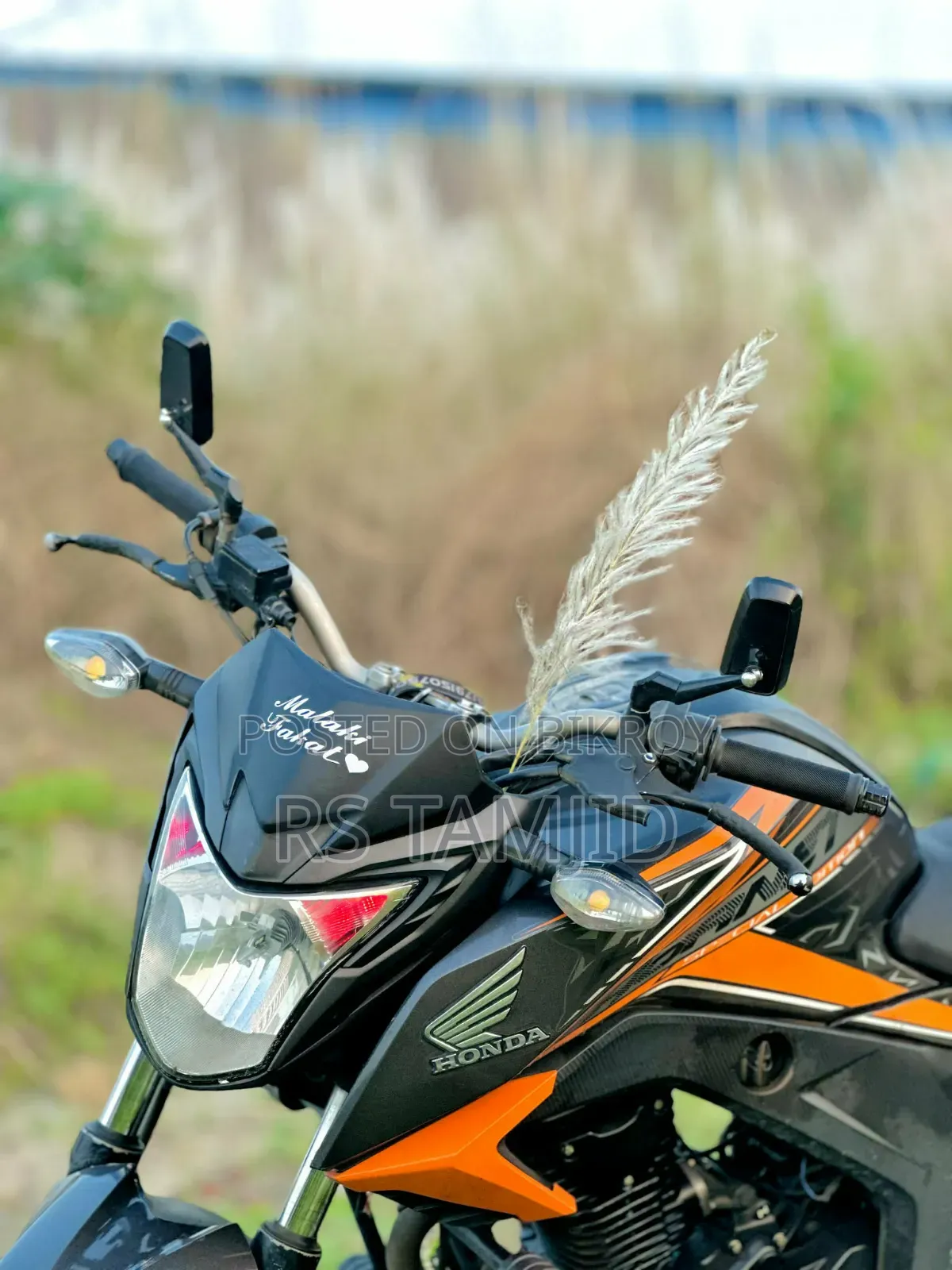 Honda Hornet 2019
