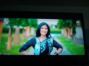 Smart LED TV