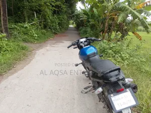 বাজাজ পালসার ১৫০ ২০০৮ ব্ল্যাক