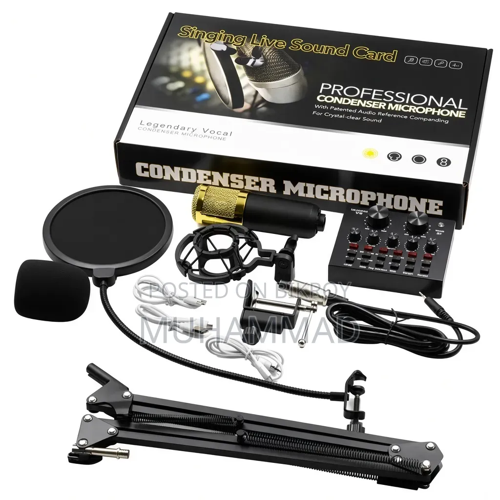 Original BM-800 Microphone