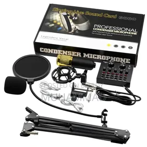 Original BM-800 Microphone