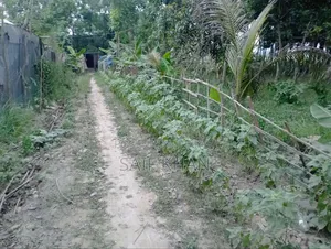 রাস্তা সহ জমি বিক্রি