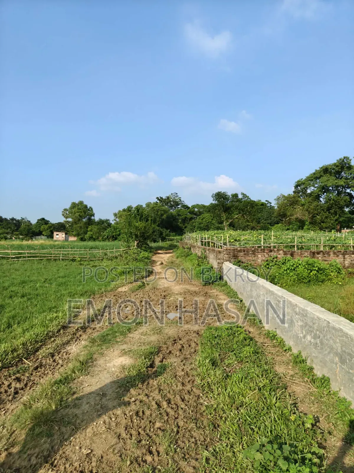 ৯ কাঠা প্লট - বিরুলিয়া
