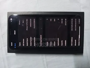 New Apple iPhone 12 Pro Max 256 GB Black