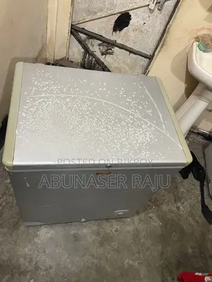 Walton Deep Freezer