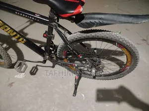 Cycle 2025 Black