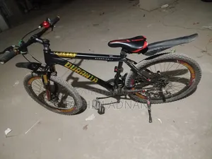Cycle 2025 Black