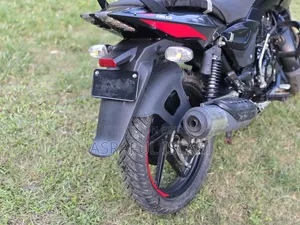 Bajaj Pulsar 150 2024 Black