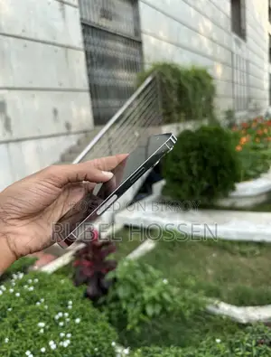 Apple iPhone 14 Pro 256 GB Silver