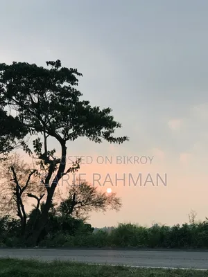 সাইকেল। গিয়ার