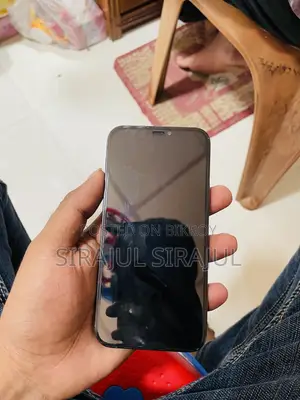অ্যাপল আইফোন ১২ প্রো ২৫৬ জিবি ব্লু