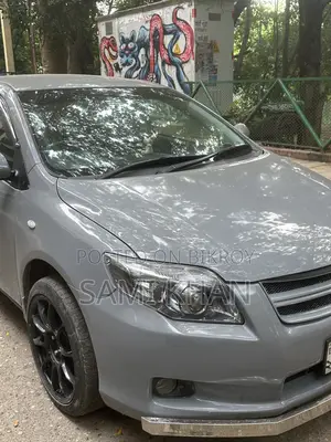 টয়োটা এক্সিও ২০১১ গ্রে
