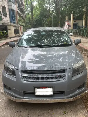 Toyota Axio 2011 Gray