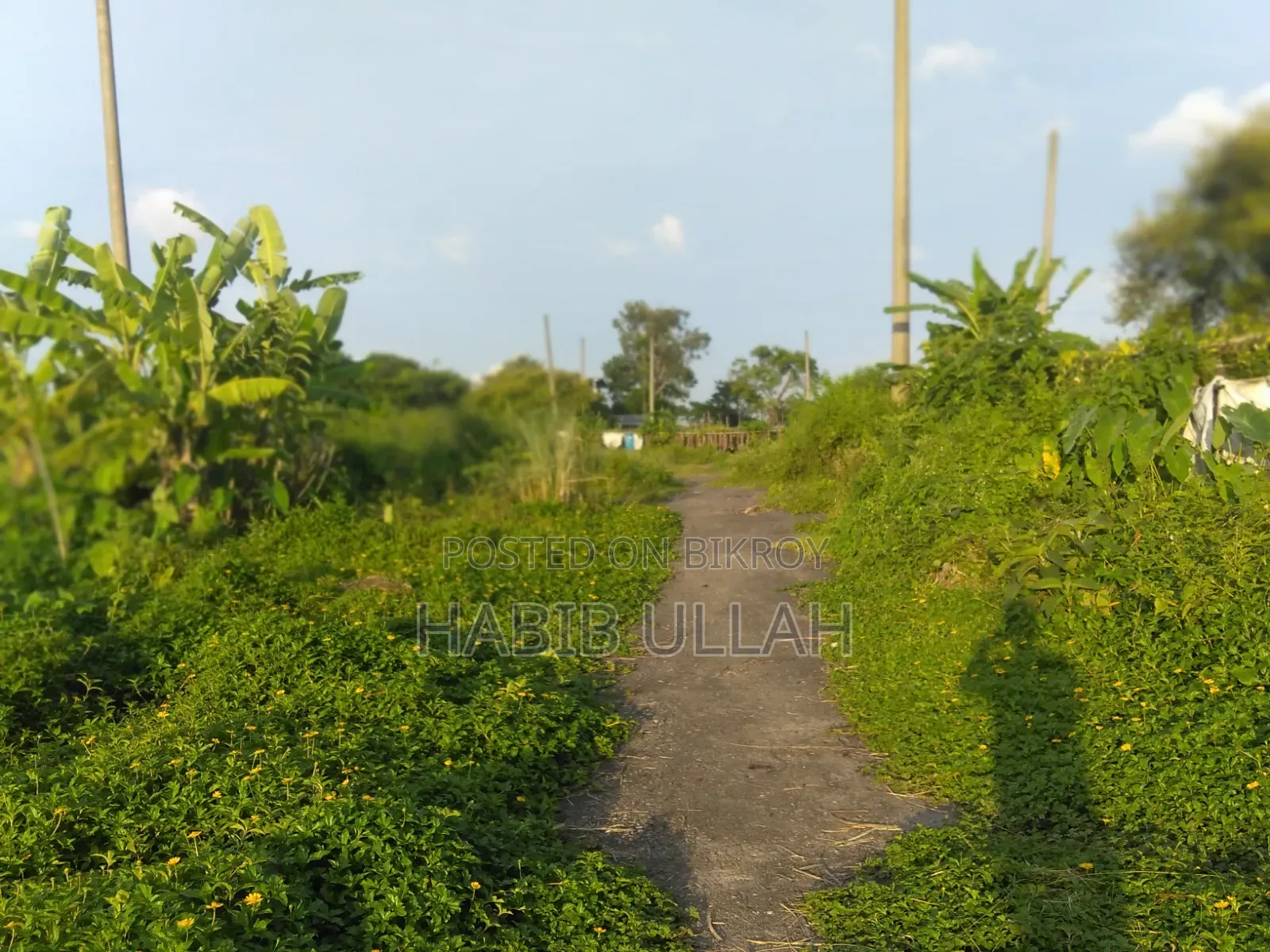 আবাসিক প্লটের এলাকা ৩ কাঠা