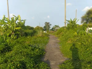 আবাসিক প্লটের এলাকা ৩ কাঠা