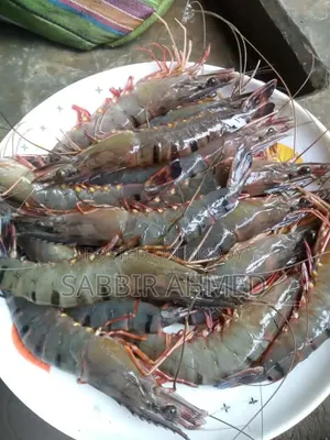 Fresh Bagda Prawns directly from Satkhira! Booking ongoing