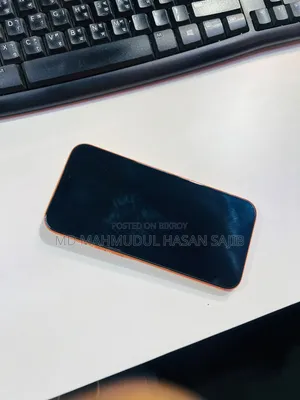 অ্যাপল আইফোন ১৭ প্রো ম্যাক্স ২৫৬ জিবি কমলা