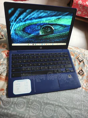 Laptop HP Chromebook 11 4GB SSD 32GB