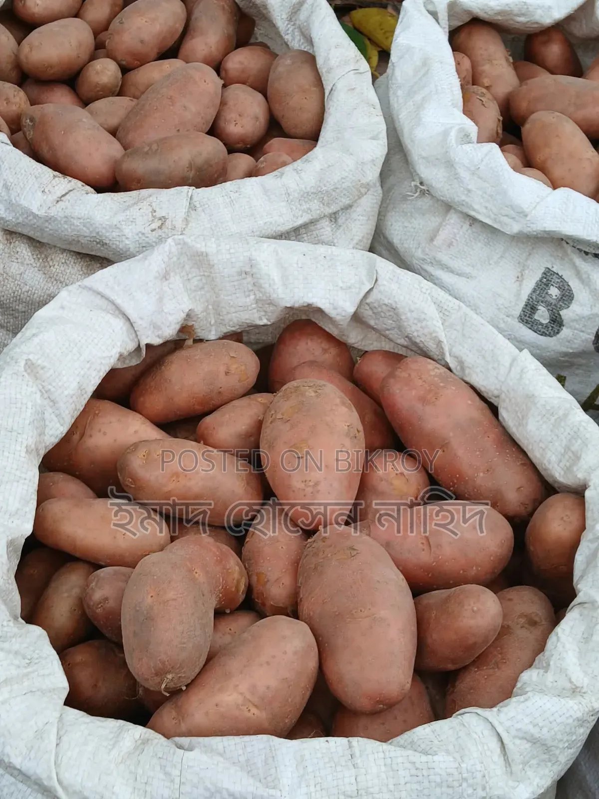 Cold Stored Potato Sticks 62x100