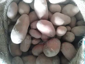 Cold Stored Potato Sticks 62x100