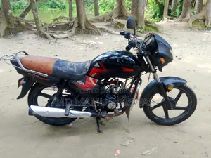 হিরো ২০১০ ব্ল্যাক