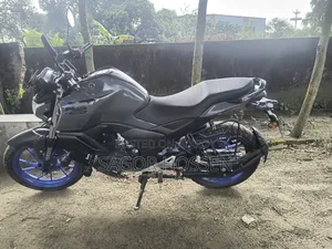 Yamaha FZS V4 2025 Gray