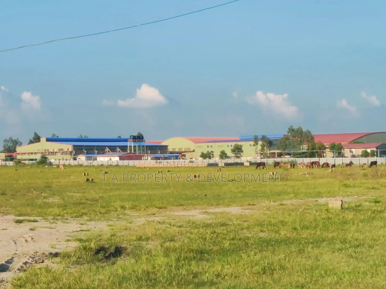 12 Katha Corner Plot Sale, N-Extension