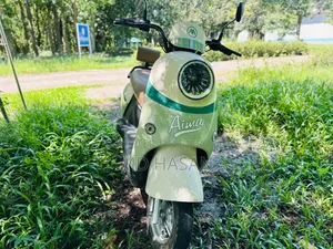 Motorcycle 2025 Green