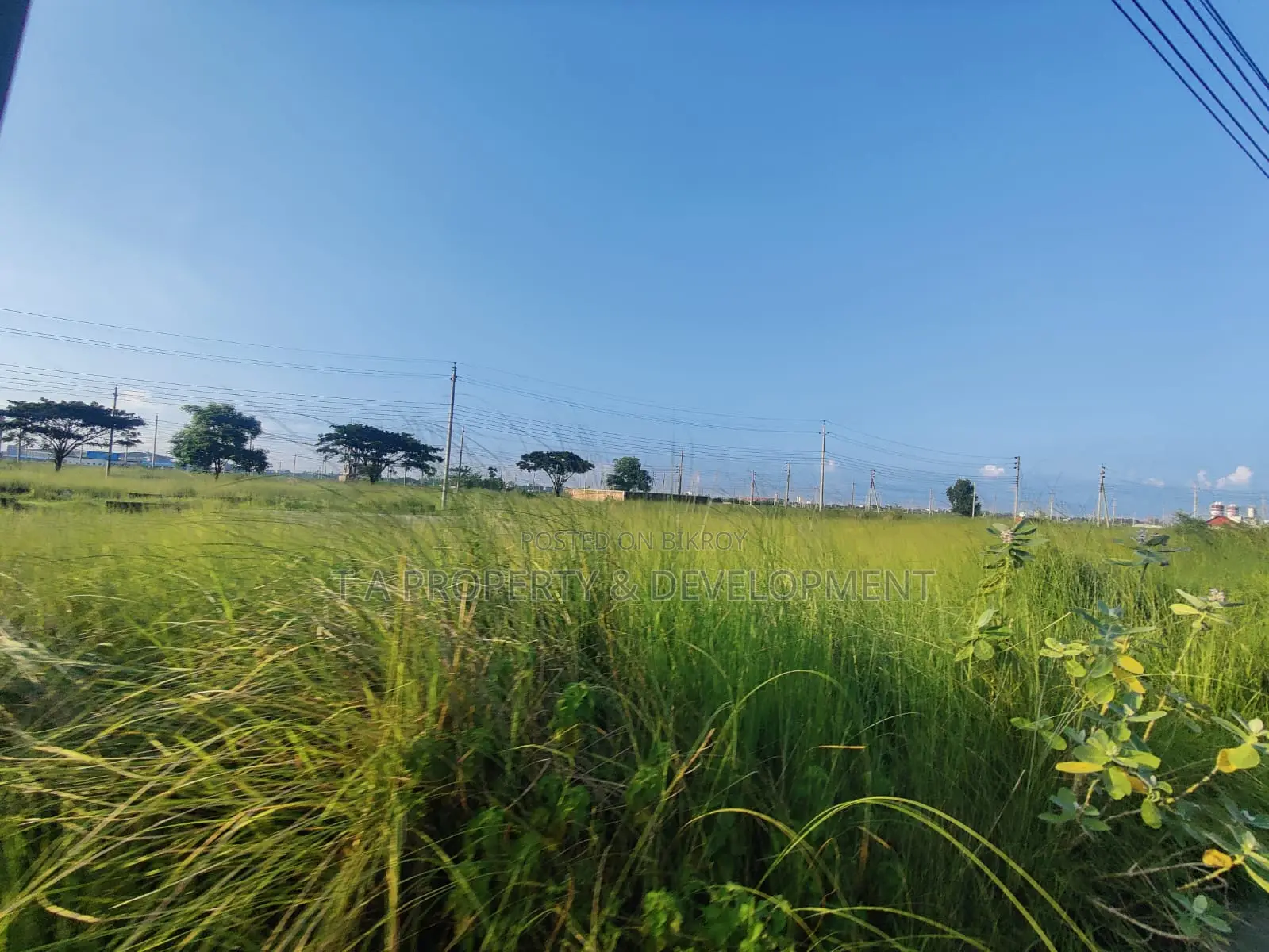 5 Katha North Facing Plot Sell, P Block