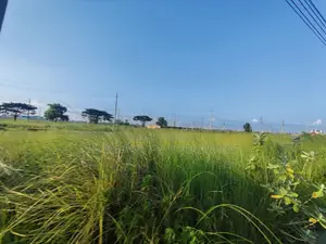 5 Katha North Facing Plot Sell, P Block