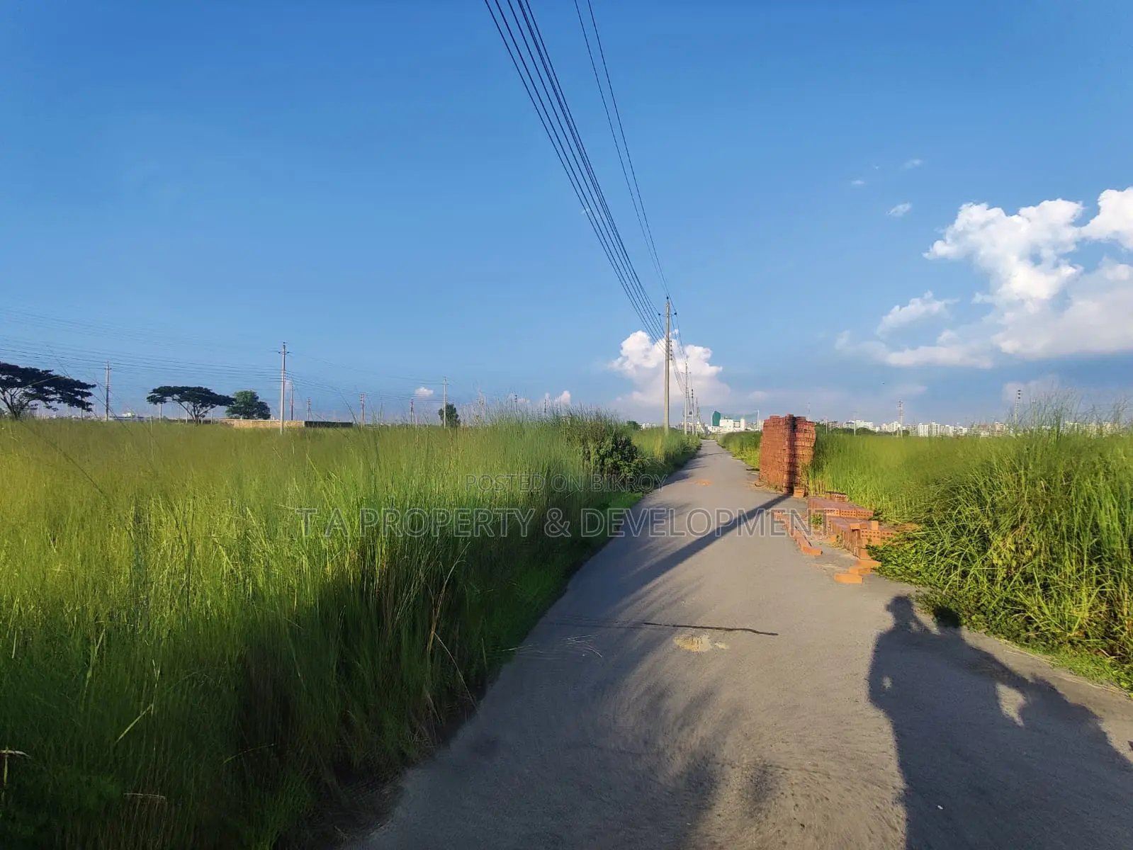 5 Katha North Facing Plot Sell, P Block
