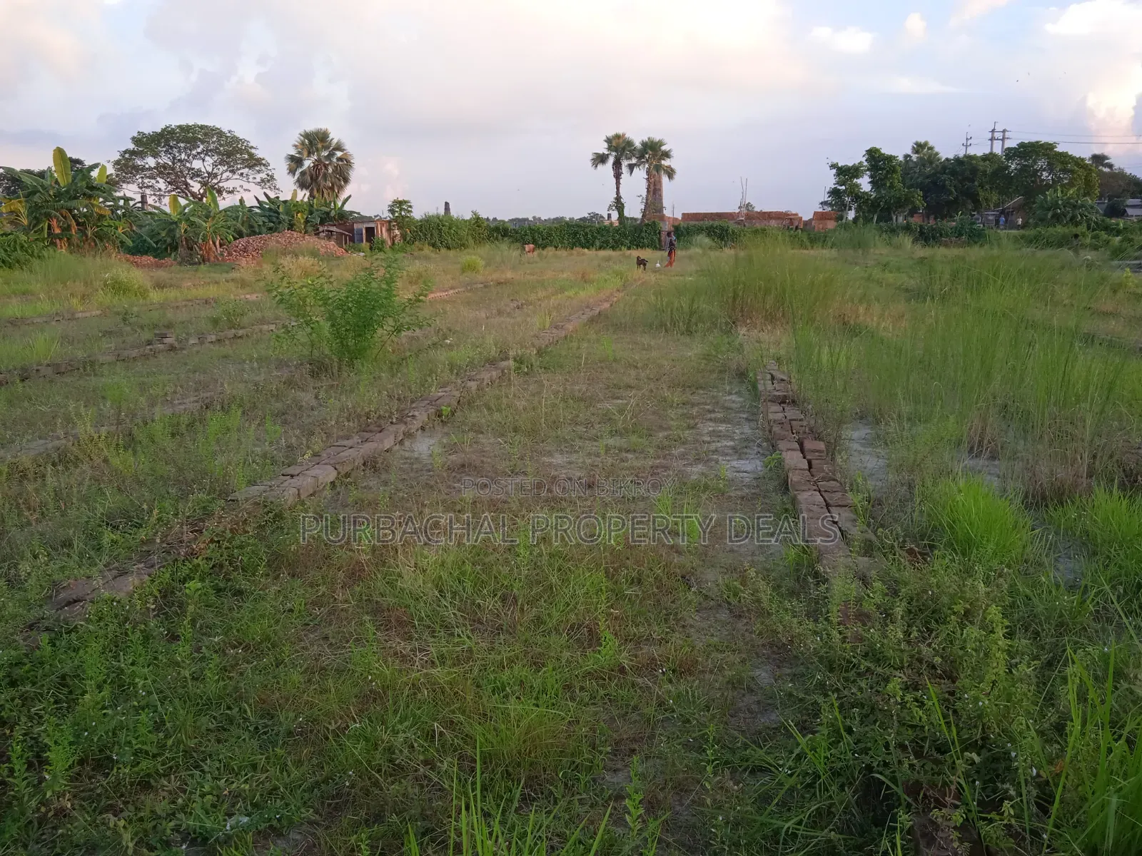 Build a resort, farmhouse, or residential project on 3 bighas of land!