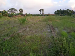 Build a resort, farmhouse, or residential project on 3 bighas of land!