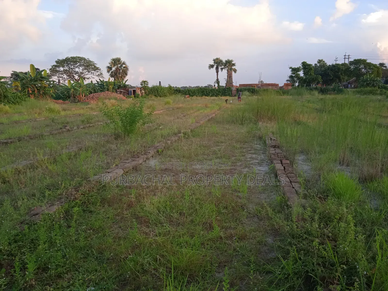 Build a resort, farmhouse, or residential project on 3 bighas of land!