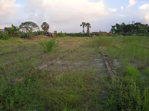 Build a resort, farmhouse, or residential project on 3 bighas of land!