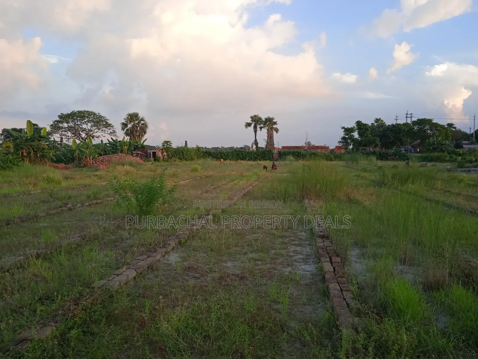 Build a resort, farmhouse, or residential project on 3 bighas of land!