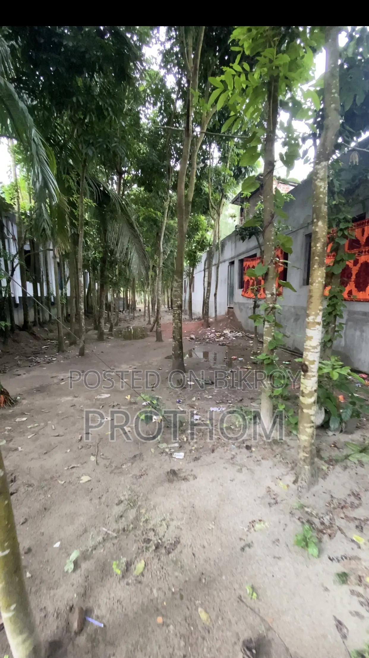 সোনাতলা রাস্তার পার্শ্বে ১৭.৫ শতক জমি বিক্রয়