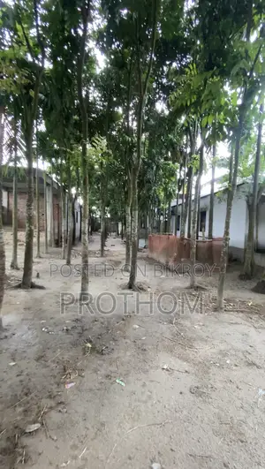 সোনাতলা রাস্তার পার্শ্বে ১৭.৫ শতক জমি বিক্রয়