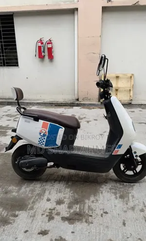 Raleigh 2025 White