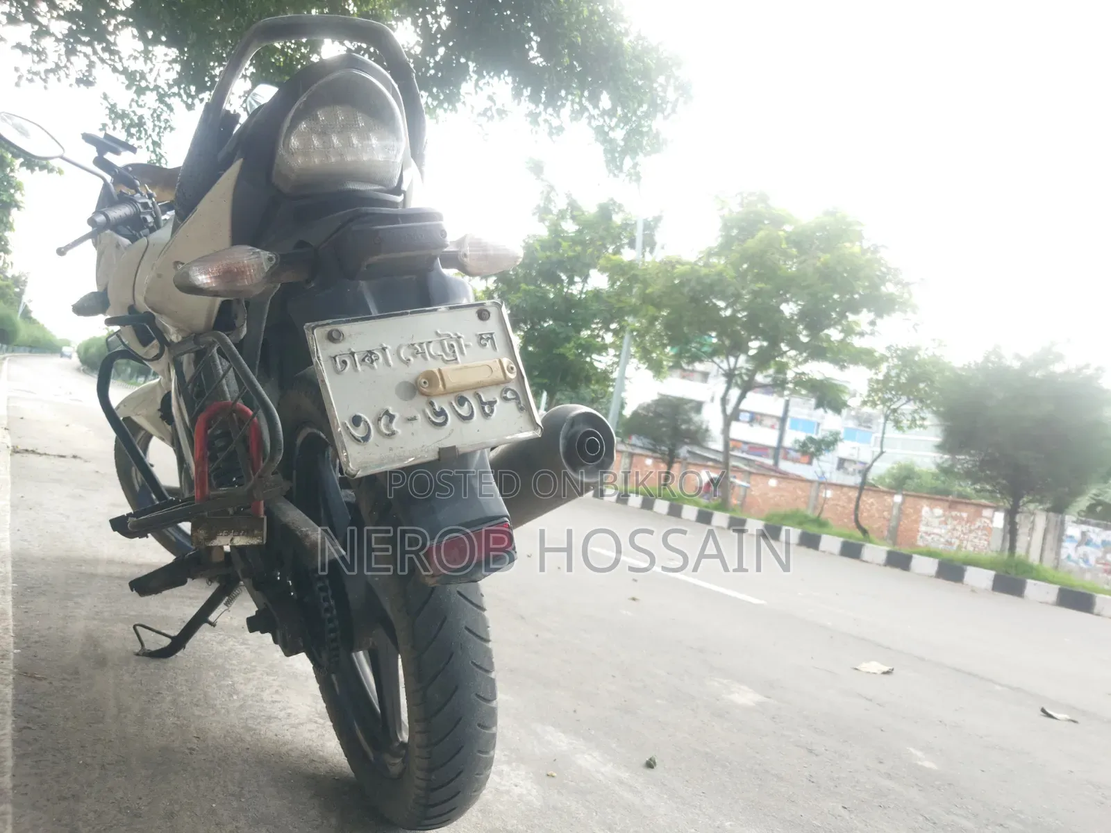 হিরো হাঙ্ক ২০১৭ সাদা