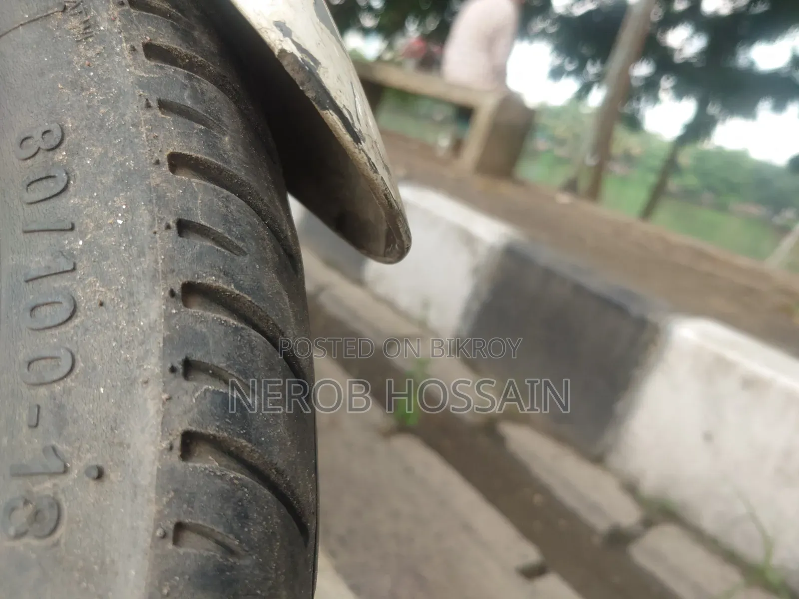 হিরো হাঙ্ক ২০১৭ সাদা