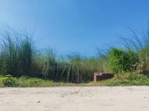 12 Katha Corner Plot Sell, I-Extension