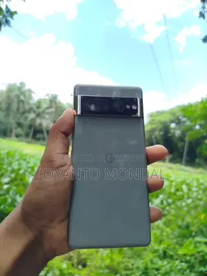 Google Pixel 7 Pro 256 GB Gray