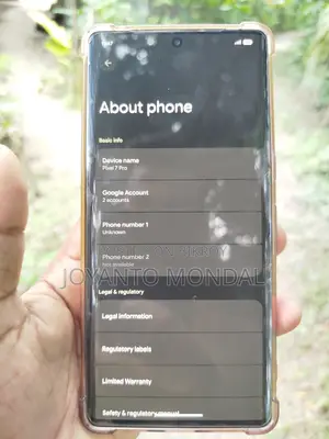 Google Pixel 7 Pro 256 GB Gray