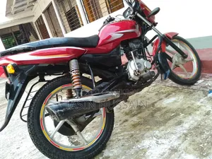 বাজাজ প্লাটিনা ১০০ ২০১৯ রেড